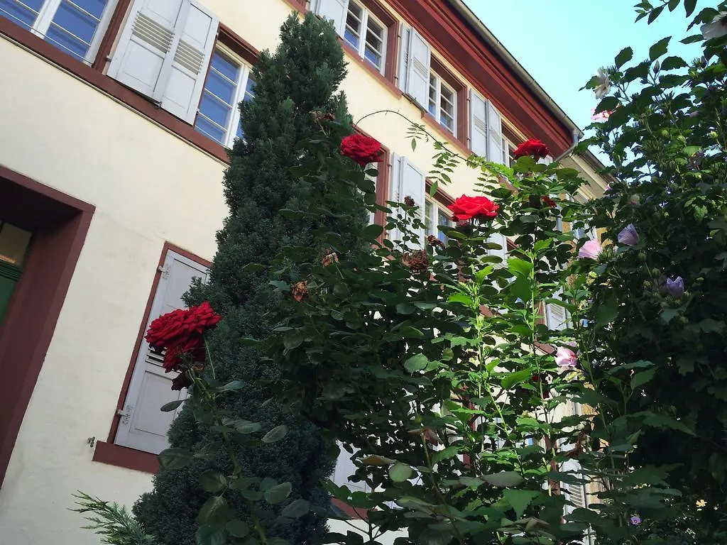 Im Herzen Der Altstadt Heidelberg 0*,  Germany